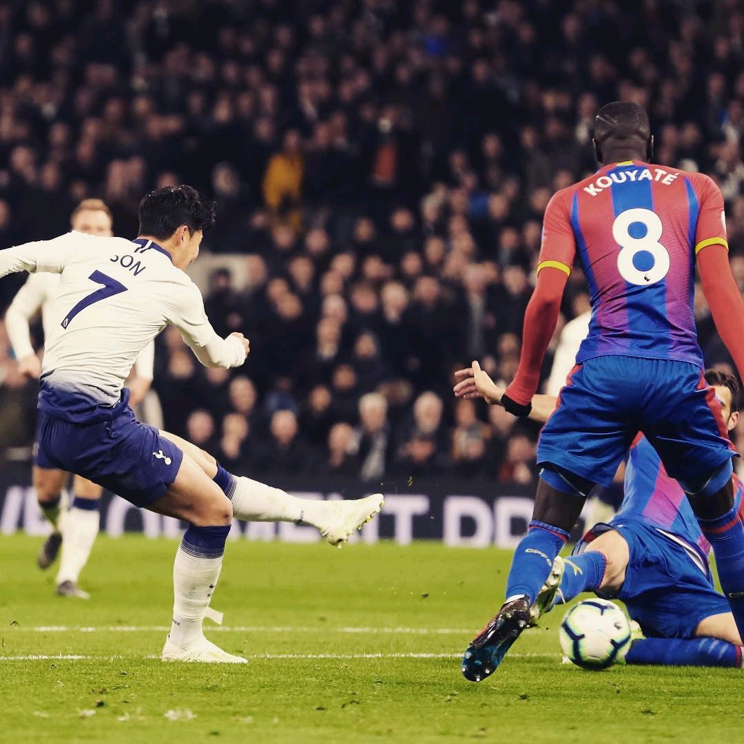 能为热刺的 能为热刺的