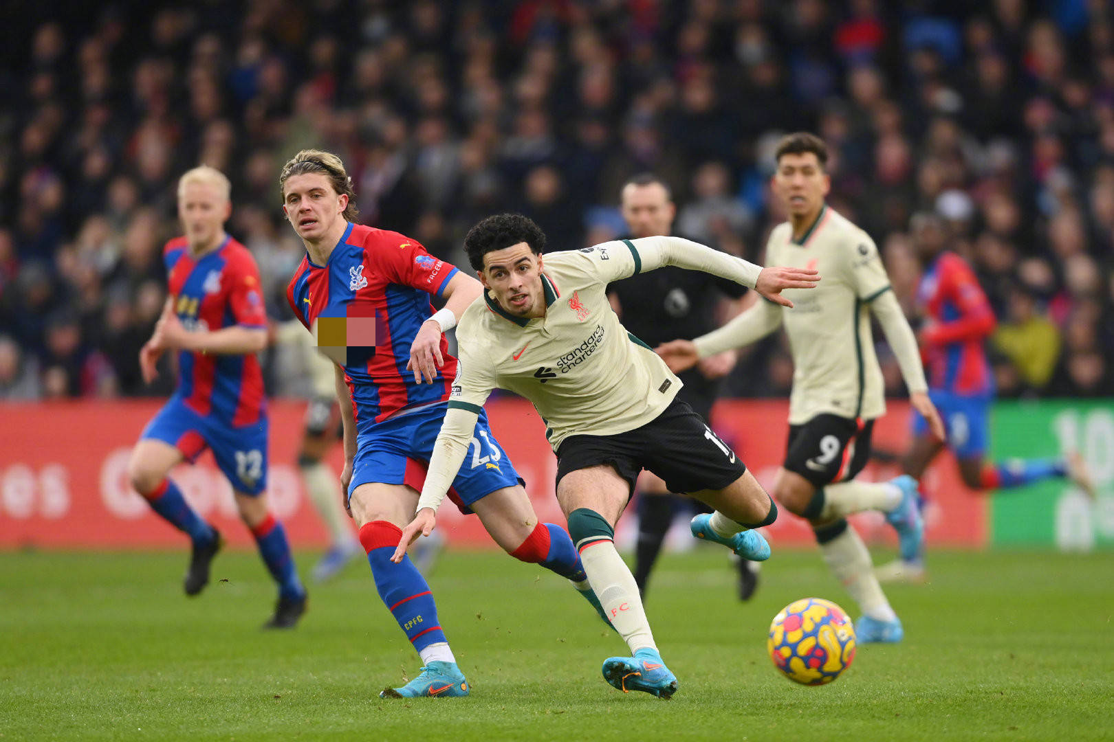 入这位球员 入这位球员